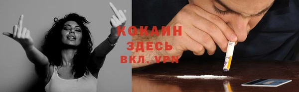 спиды Аркадак