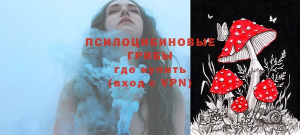 экстази Арсеньев