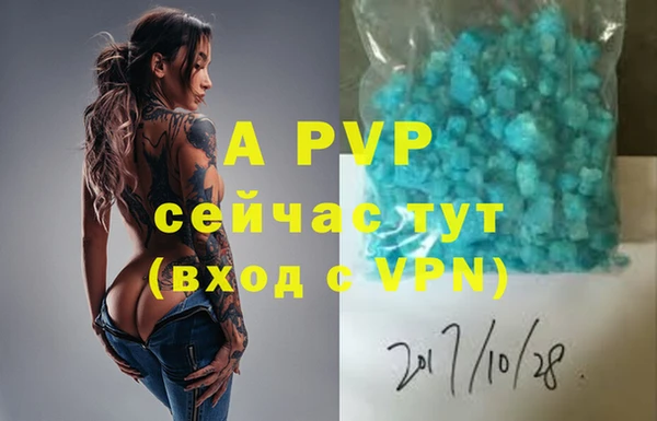 спиды Аркадак