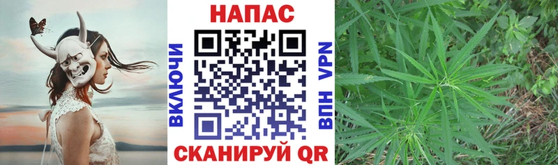 Шишки марихуана ГИДРОПОН  mega рабочий сайт  Ростов 